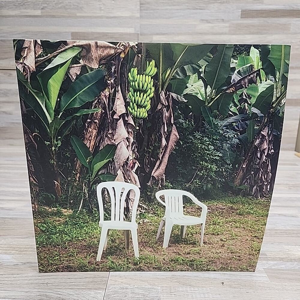 Bad Bunny - DeBi TiRAR MaS FOToS (DTMF) (2xLP Opaque White Vinyl ) - EX Cond